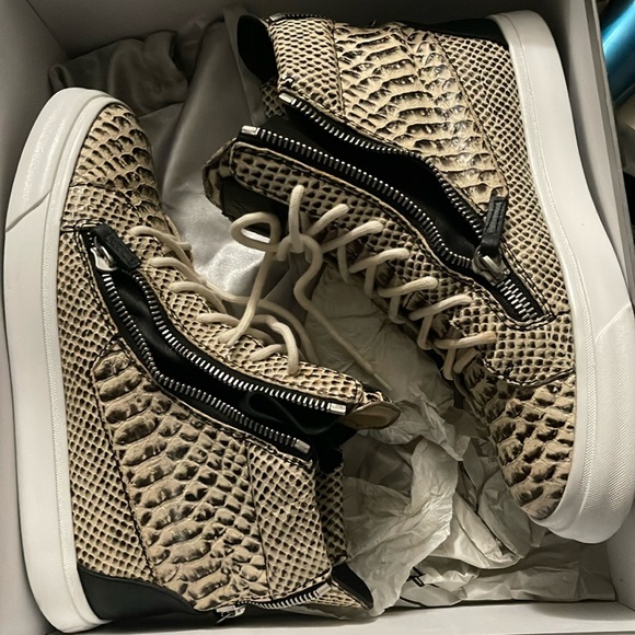 Giuseppe Zanotti